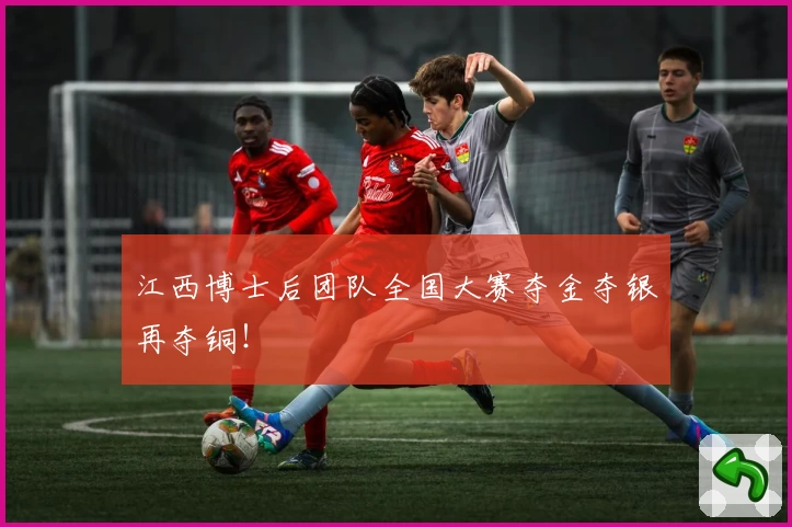江西博士后团队全国大赛夺金夺银再夺铜！