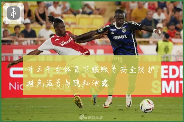 开云平台体育下载账号安全防护，避免盗号与隐私泄露